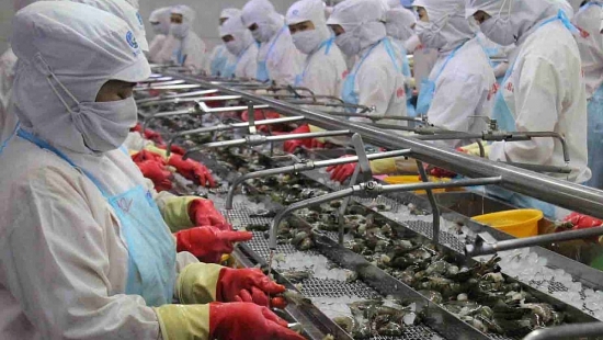 Xuất khẩu tôm tăng trưởng khả quan tại hầu hết các thị trường