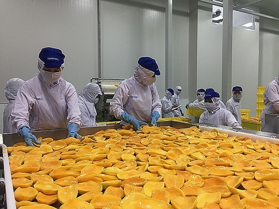 Dự báo, xuất khẩu rau quả sẽ khả quan hơn trong những tháng cuối năm 2022