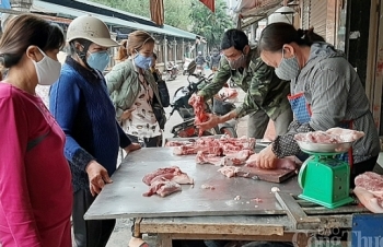 Loay hoay bài toán "nguồn cung" thịt lợn (?!)