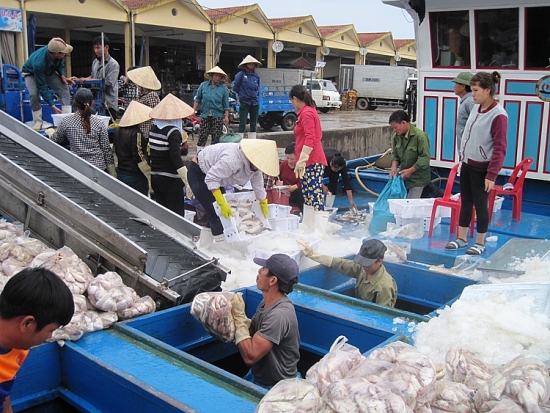 Doanh nghiệp thủy sản bức xúc bị "đẻ" thêm chi phí cấp giấy xác nhận