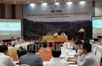 Chi trả dịch vụ môi trường rừng: Khó nhưng bắt buộc phải thực hiện