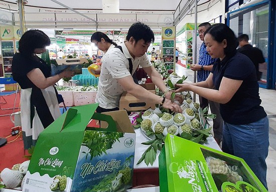 Quảng bá na Chi Lăng và nông đặc sản tỉnh Lạng Sơn đến người tiêu dùng Hà Nội