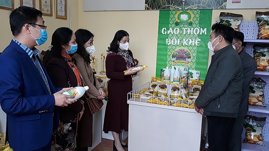 Hà Nội: Mở rộng điểm giới thiệu và bán sản phẩm OCOP ra các huyện ngoại thành