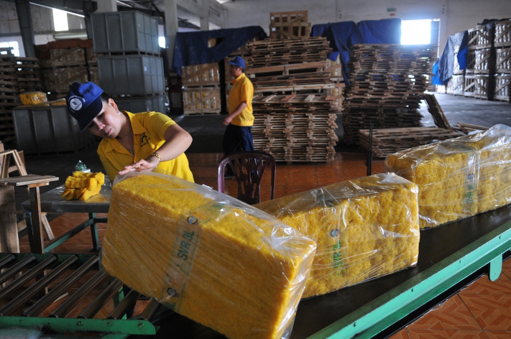 Dự báo xuất khẩu cao su sang Hoa Kỳ tiếp tục khả quan trong năm 2022