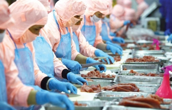 Thu hút đầu tư kiều bào: Nhiều triển vọng