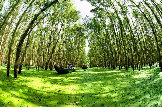 Sắp diễn ra Triển lãm ảnh “Đồng bằng sông Cửu Long – Khát vọng phát triển”