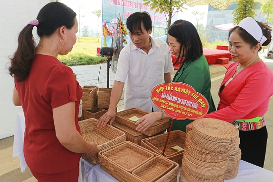 5 giải pháp cho mục tiêu 45.000 hợp tác xã vào năm 2030