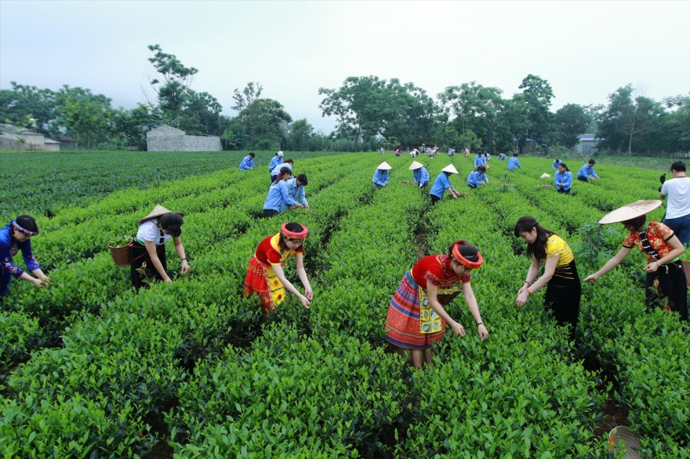 Phát huy thế mạnh của trung du và miền núi phía Bắc trong thu hút đầu tư