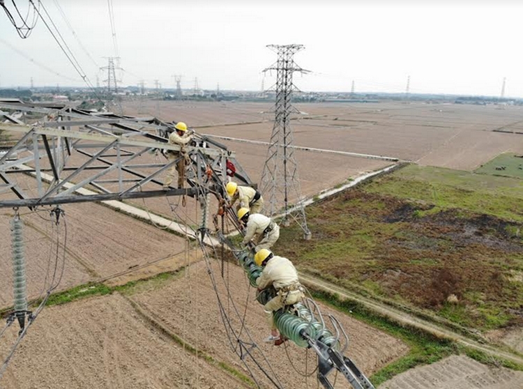 PTC1 hoàn thành sửa chữa 2 công trình đường dây 500/220kV