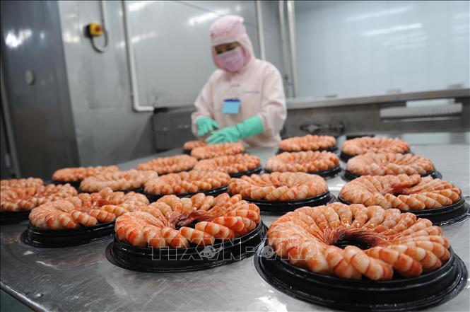 Chủ động ứng phó rào cản thương mại