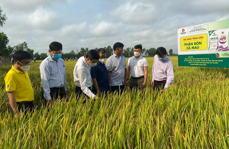 NPK Cà Mau: Nỗ lực đồng hành cùng nông dân Việt Nam