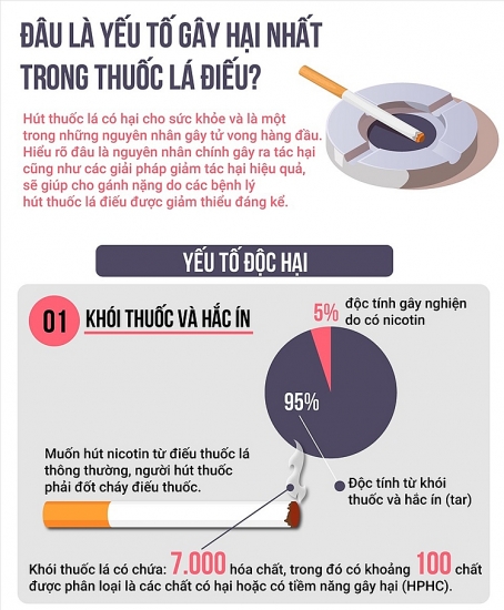 Đâu là yếu tố gây hại nhất trong thuốc lá điếu?