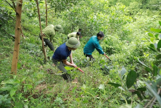 Việt Nam thúc đẩy tiết kiệm năng lượng nhằm mục tiêu kép