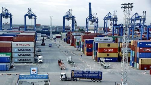 Doanh nghiệp logistics nội đông nhưng nhỏ