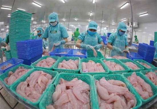 Doanh nghiệp thủy sản tham vọng với mục tiêu doanh thu nghìn tỷ đồng