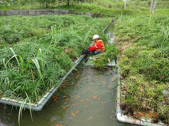 Masan High-Tech Materials: Bảo vệ môi trường và phát triển bền vững