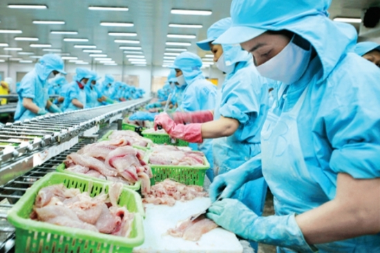 Cảnh báo sớm về phòng vệ thương mại: "Lá chắn thép" hạn chế rủi ro