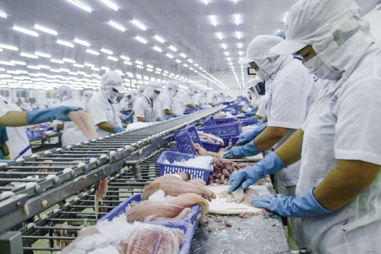 Xây dựng pháp luật thực thi CPTPP: Mở rộng cách tiếp cận