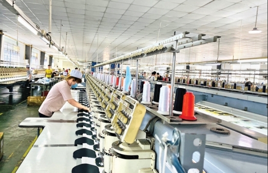 FTA – Động lực cải cách thể chế
