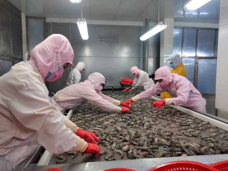 Tiêu thụ thủy sản toàn cầu đạt 164 tỷ USD
