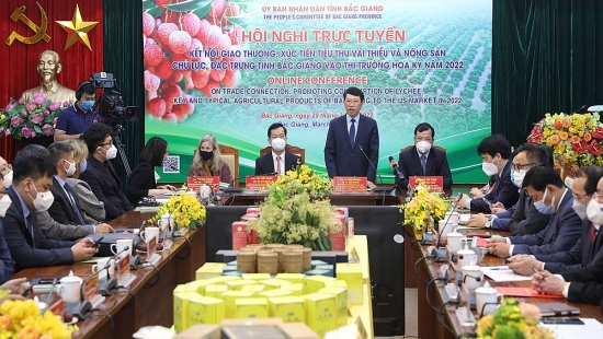 Vải thiều Việt Nam nỗ lực “chinh phục” thị trường Hoa Kỳ