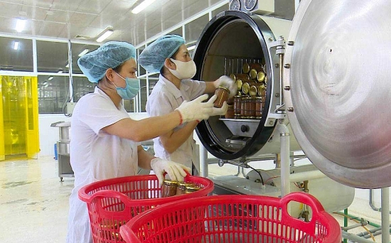 Năng suất lao động ngành chế biến, chế tạo cần đạt mục tiêu 6,5 - 7%/năm