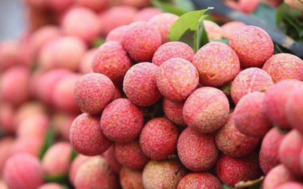 Kết nối nguồn lực cho doanh nghiệp chuyển giao khoa học - công nghệ tại các tỉnh miền núi