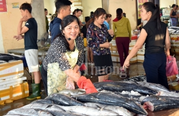 Hấp dẫn nghề nướng cá ở biển Cửa Lò
