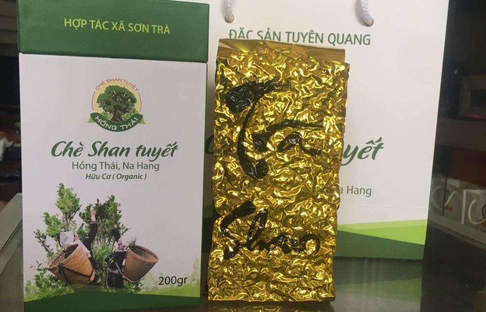 Chè Shan tuyết Na Hang được bảo hộ chỉ dẫn địa lý