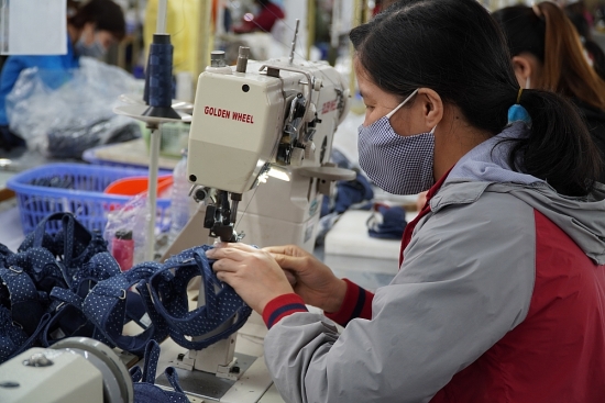 EVFTA tạo đầu ra ổn định giữa khó khăn do dịch bệnh