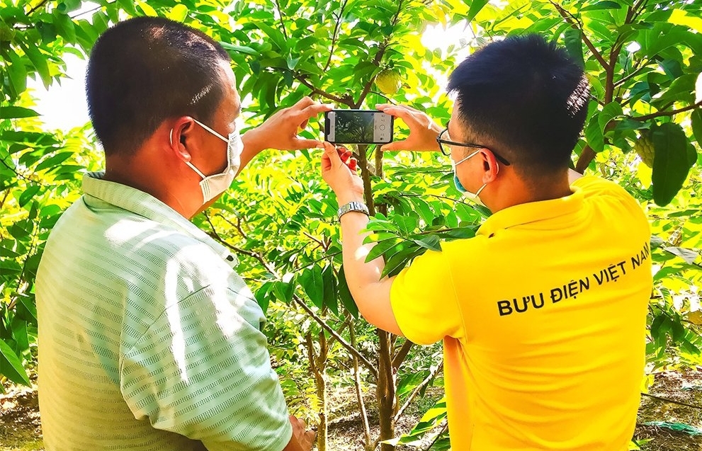 Hỗ trợ nông dân trong chuyển đổi số: Cần sự vào cuộc đồng bộ