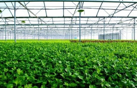 Quảng Ninh xây dựng khu nông nghiệp ứng dụng công nghệ cao