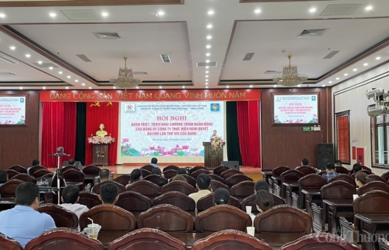 Đảng bộ Công ty Tuyển Than Hòn Gai – Vinacomin tổ chức học tập, triển khai Nghị quyết Đại hội XIII của Đảng