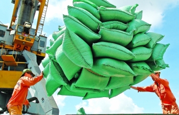 Vietnam’s rice exports boom, outpacing other produce exports