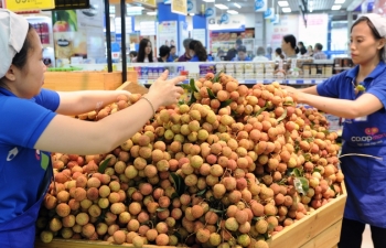 Diverse online activities to boost exports to Singapore