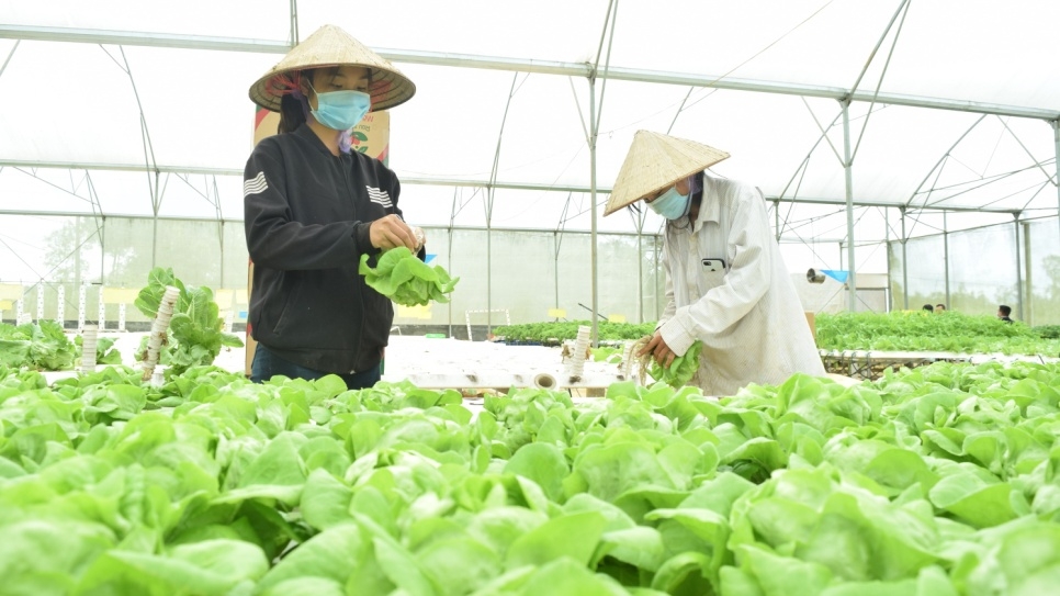Kon Tum: Chú trọng sản xuất, kết nối tiêu thụ nông sản, thực phẩm an toàn