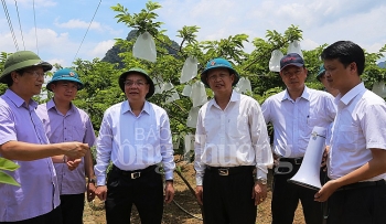 Lạng Sơn: Đưa khoa học và công nghệ phát triển sản phẩm chủ lực
