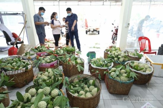 Lạng Sơn đã đưa 4.300 sản phẩm lên cửa hàng số
