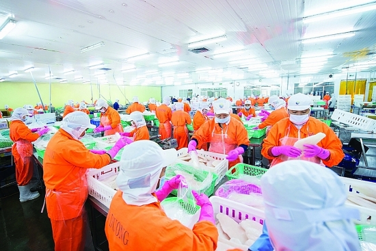 Nhiều sản phẩm thủy sản xuất khẩu chủ lực tăng ngoài dự đoán