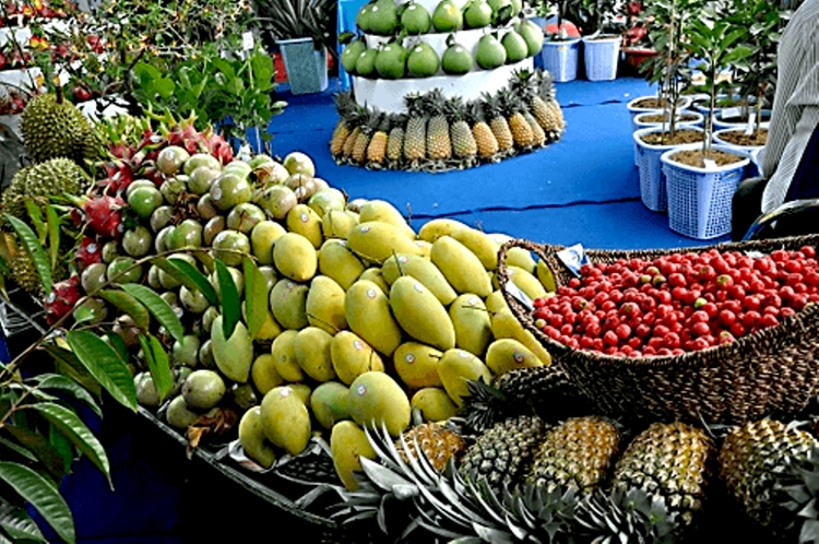Trái cây Đồng bằng sông Cửu Long thấp thỏm ngóng thị trường Tết