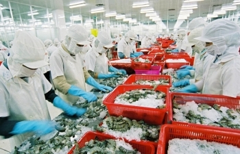 Thủy sản cầm cự chờ thị trường hồi phục
