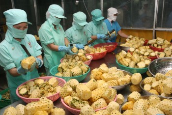 Xuất khẩu rau, quả: Nỗ lực cho mục tiêu 3 tỷ USD