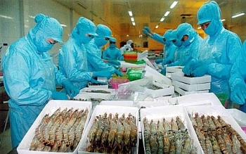 Thủy sản gặp khó ở thị trường nội địa