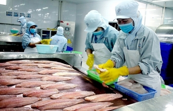 Xuất khẩu cá tra vào EU: Bứt phá ngoạn mục?