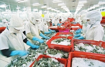 Xuất khẩu tôm, cá tra “tụt dốc”, mực, cá biển vẫn tiến lên
