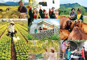 Thành lập BCĐ Trung ương các chương trình mục tiêu quốc gia