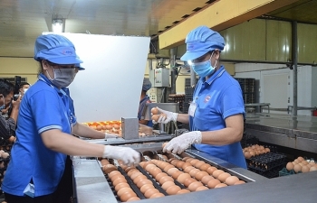 Thị trường TP. Hồ Chí Minh cuối năm: Nguồn cung đáp ứng đủ nhu cầu