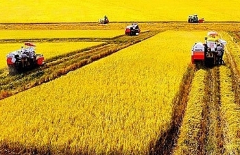 Đề xuất miễn thuế sử dụng đất nông nghiệp đến năm 2030