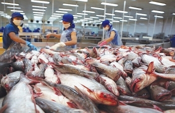 Cá tra xuất sang Malaysia tăng đột biến