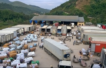 Tăng sức cạnh tranh cho nông sản: Khơi thông “dòng chảy” logistics
